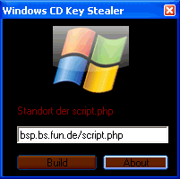 Windows CD Key Stealer